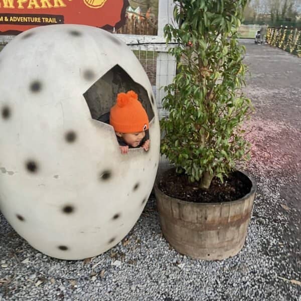 Newpark Hotel Kilkenny Dinosaur Jurassic